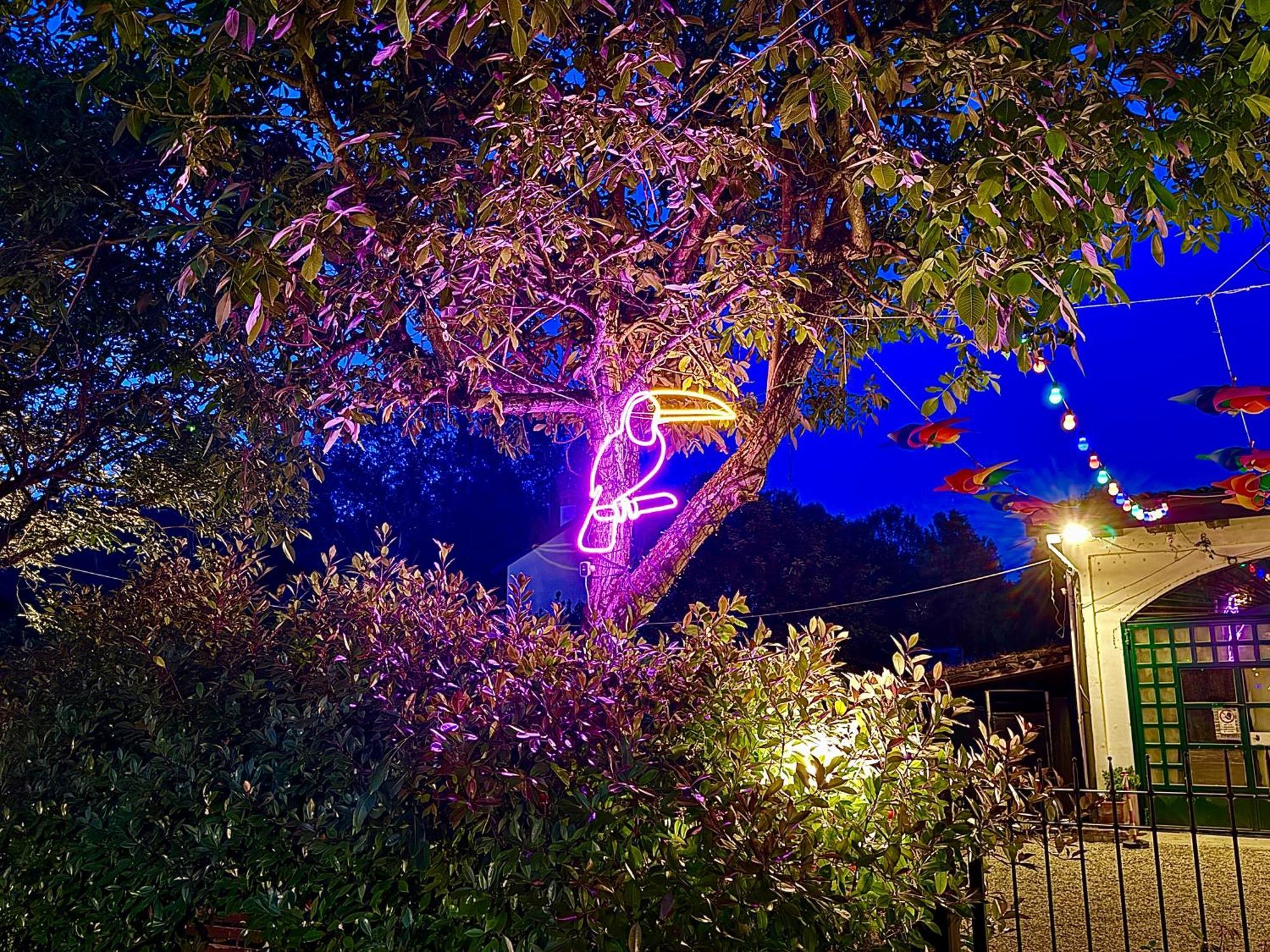 B&B La Borasca Casalpusterlengo Exterior foto